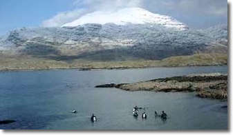 Year Round Dive Courses