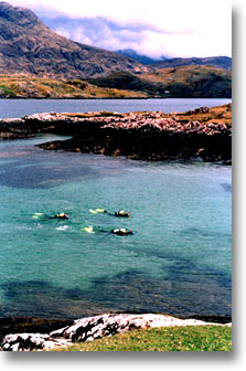 Our Beautiful Dive Cove