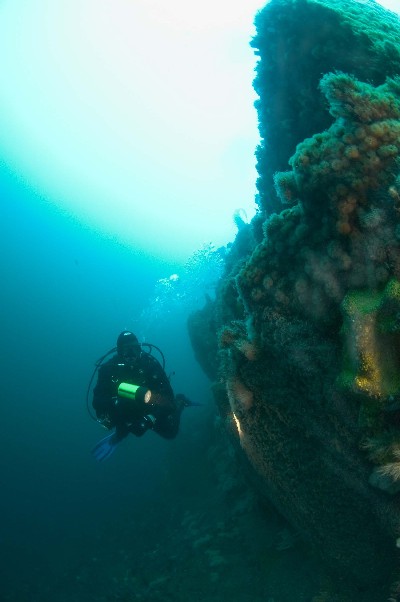 PADI Specialty Courses, The Bills